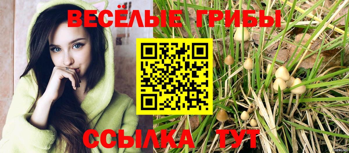 Галлюциногенные грибы ЛСД Киржач